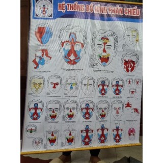 Tranh diện chẩn - dụng cụ diện chẩn