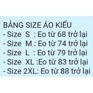 Áo kiểu công sở trẻ trung có bigsize