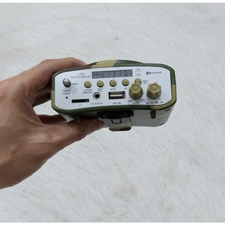 Loa WS998 Có Bluetooth Điều Khiển Từ Xa (Không Kèm Thẻ)