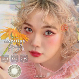 Kính Áp Tròng Tinteye Lens TE-015 Xám Tây Sáng