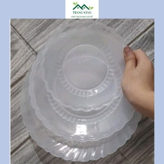 Đĩa nhựa Việt Nhật trong suốt loại đẹp
