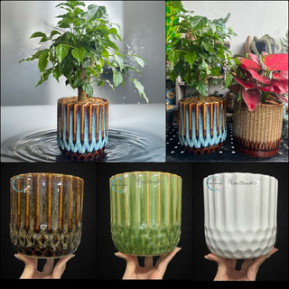 Chậu Gốm Trồng Cây cảnh, chậu cây để bàn, bon sai.  Mã:Ống tổ ong