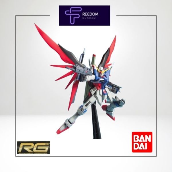 Mô hình Gundam Bandai RG 11 Destiny Gundam 1/144 SEED Destiny