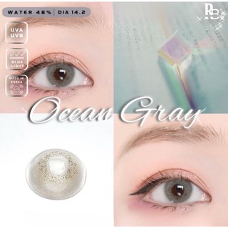 Kính Áp Tròng RUBYEYES Màu Xám Tây Ocean Gray, Lens Mắt Màu Xám 0 Độ BST BEARLENS 
