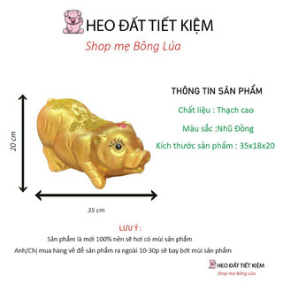 Heo/lợn đất tiết kiệm mẫu Tài Lộc màu đồng