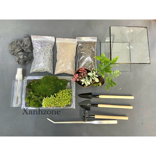 Combo terrarium tự set kèm bình, có kèm video hướng dẫn.