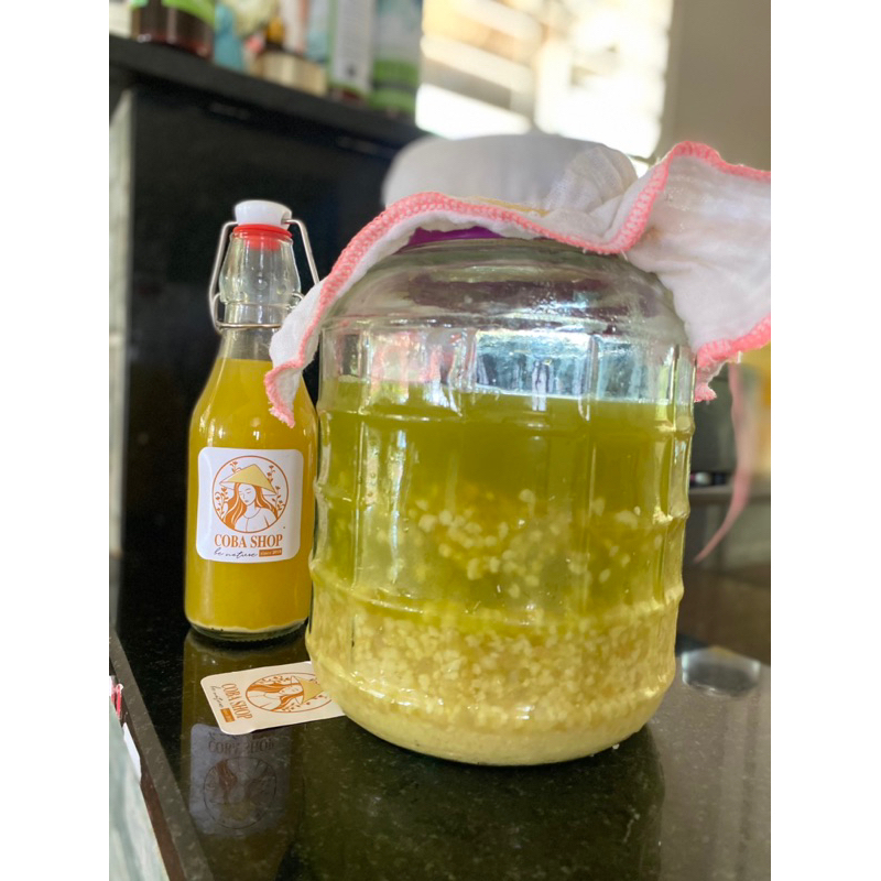Hạt Men Kefir Nước/ Kefir Water: Men Khoẻ Làm Được Nước Mía, Nước Dừa, Nước Đường, Nước Thơm Ép, Nướ