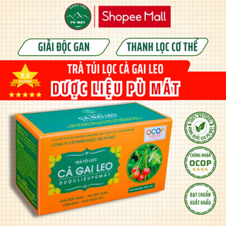 Cà Gai Leo Trà Túi Lọc Dược Liệu Pù Mát chuẩn OCOP 4 sao nguyên liệu Rừng Quốc Gia Pù Mát, Cà Gai Leo Giải Độc Gan