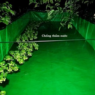 Bể bạt nuôi ốc lươn loại xanh bộ đội dày dai xịn, bền nhiều kích thước.