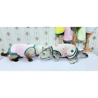 Combo Váy + Nón Chó Mèo, vải thun cotton