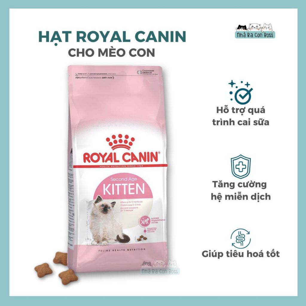 [10kg] Hạt Cho Mèo Con (Kitten) Royal Canin Kitten