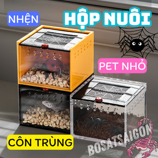 HỘP SUỐT ACRYLIC NUÔI CÔN TRÙNG 8,5x9x7 cm PET NHỎ NHỆN KIỂNG, BÒ CẠP SIZE SLING TANK TARANTULA  giá rẻ sỉ SHIP CẤP TỐC