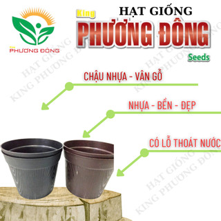 Chậu nhựa - vân gỗ size 15