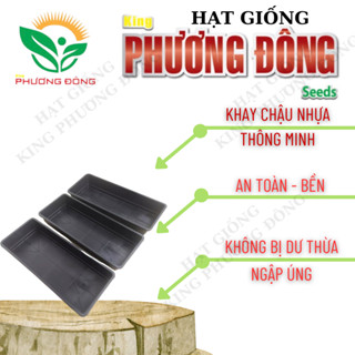 KHAY CHẬU NHỰA THÔNG MINH Nuôi Thủy Sinh Cá Trồng Rau  .. Kích Thước 102X43X16CM ( không lót )
