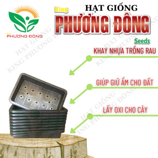 KHAY NHỰA TRỒNG RAU - Kích Thước 65 x 42 x 16 cm (Màu Đen) Hàng Công Ty