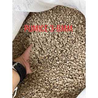 Đá pumice giá thể bonsai, sen đá, cây cảnh