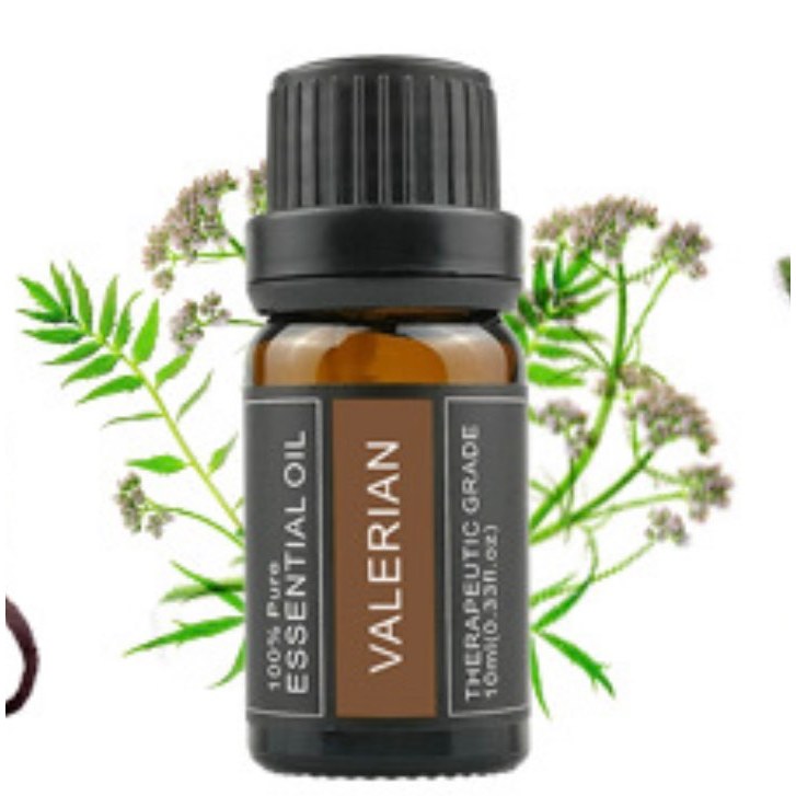 Tinh dầu cây valerian tinh dầu thiên nhiên nguyên chất, chai 10 ml