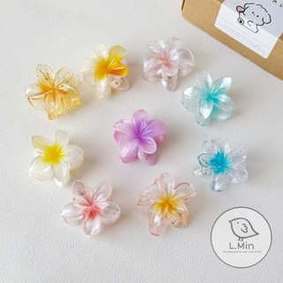 Kẹp tóc hoa xứ mini cho bé