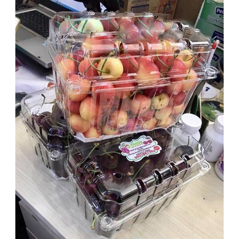 50-100 Hộp Đựng Trái Cây 1kg P1000B