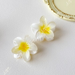 KẸP TÓC HOA XỨ MINI CHO BÉ (L.MIN)