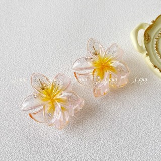 KẸP TÓC HOA XỨ MINI CHO BÉ (L.MIN)