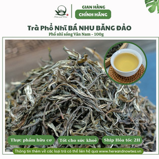 Trà phổ nhĩ vân nam phổ nhĩ sống băng đảo cổ thụ vụ xuân 2023 100g