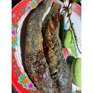 1 ký mắm phi mặn 1 ký mắm lóc mặn cà mau thơm ngon