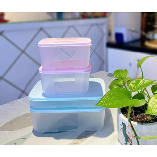Set 4 hộp trữ đông Marine Tupperware