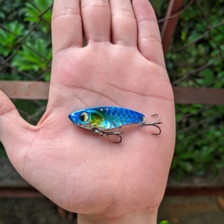 Cá sắt R45 chuyên câu lure