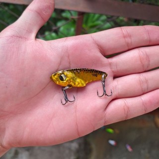 Cá sắt R45 chuyên câu lure