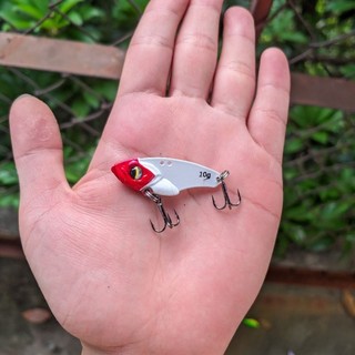 Cá sắt R45 giá rẻ
