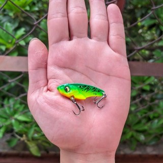 Cá sắt R45 giá rẻ