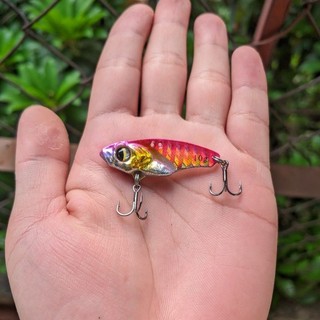 Cá sắt R45 giá rẻ
