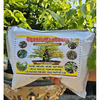 Phân Bón Mai, Oranic Max Root Túi 5kg