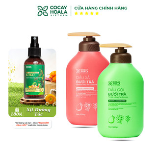 Dầu gội bưởi trà cocayhoala vietnam, dưỡng tóc chắc khỏe, mềm mượt tự nhiên-dung tích 500g