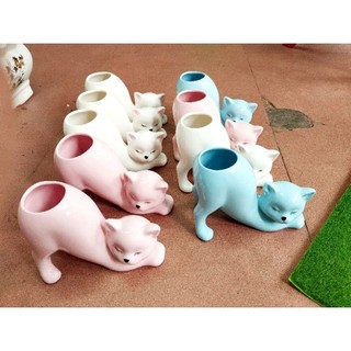 Chậu mèo sứ cong mông trồng đuôi hồ ly siêu yêu