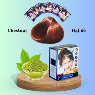 Thuốc nhuộm tóc thảo dược Herbul màu nâu hạt dẻ (Chesnut) - Hàng chính hãng