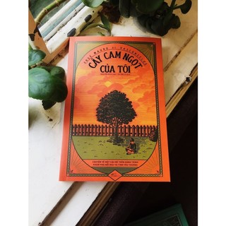 Sách - Cây Cam Ngọt Của Tôi