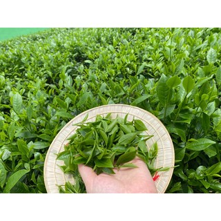 TRÀ THÁI NGUYÊN - GÓI 100G