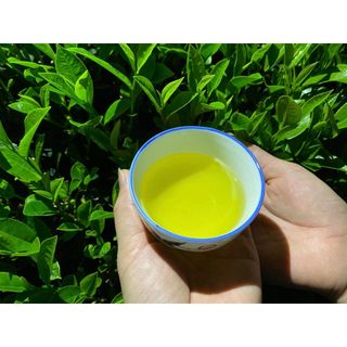 TRÀ THÁI NGUYÊN - GÓI 100G