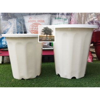 CHẬU NHỰA MÀU TRẮNG TRƠN CỨNG DÀY CÓ LỖ THOÁT NƯỚC SIZE 31X30