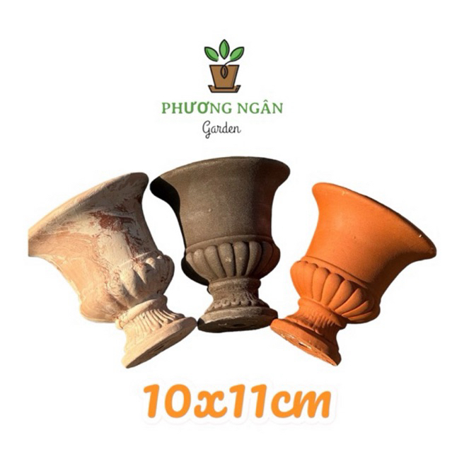 Chậu đất cúp 10x11cm