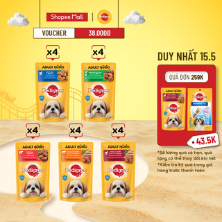 Thức Ăn Dạng Sốt Cho Chó Lớn PEDIGREE Mix 5 Vị Thơm Ngon, 130g (20 Túi)