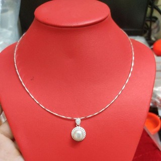 Kiềng bạc mặt trai nuôi
