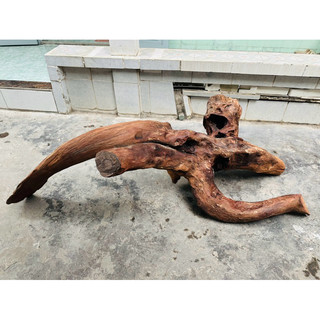 Gỗ lũa setup thuỷ sinh - decor tiểu cảnh - BAO SHIP HCM