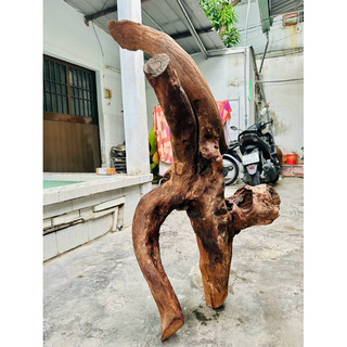 Gỗ lũa setup thuỷ sinh - decor tiểu cảnh - BAO SHIP HCM