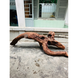 Gỗ lũa setup thuỷ sinh - decor tiểu cảnh - BAO SHIP HCM