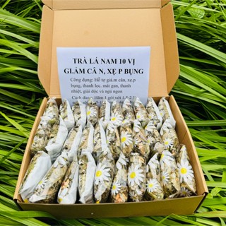 [Tặng Cỏ Ngọt] Lá Nam 10 Vị Hỗ trợ Giảm Cân, Xẹp Bụng, Giảm Mỡ Bụng, Thải Độc Ruột Mát Gan, Thải Độc Gan, Thanh Lọc