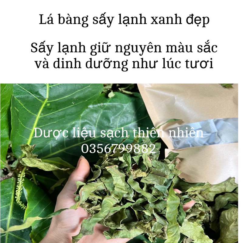 Bột lá bàng ,rôm sảy ,ngứa ngoài da  xông rửa , hỗ trợ đào thải nấm ,hpv ,dịch phụ khoa,có che tên sản phẩm