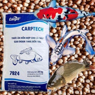 1 bao cám cá cargill 7924 nguyên bao 25kg cho chép Koi và làm mồi câu- mẫu mới RAPID 